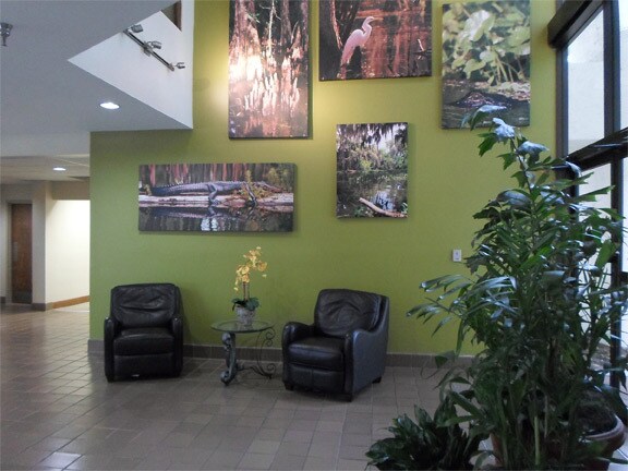 More Photos Of 1180 Spring Centre South Blvd, Altamonte Springs Office For Lease