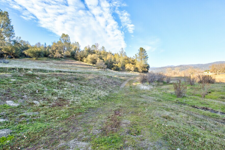 More Photos Of 50871 Road 200, O Neals Land For Sale