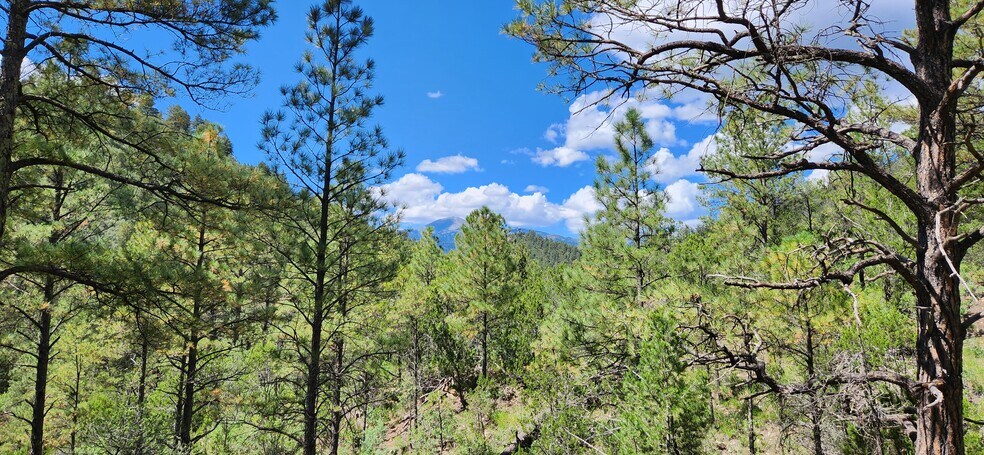 More Photos Of 140 Paradise Canyon Dr, Ruidoso Land For Lease