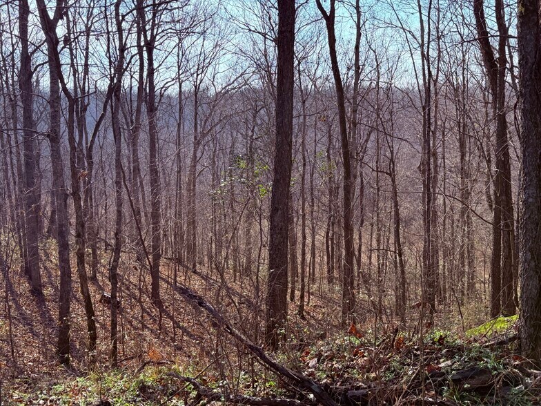 More Photos Of 4604 Summersville Rd, Campbellsville Land For Sale
