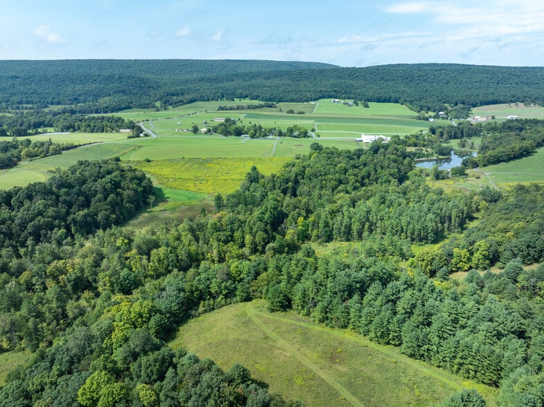 More Photos Of 222 Penns Cave Rd, Centre Hall Specialty For Sale