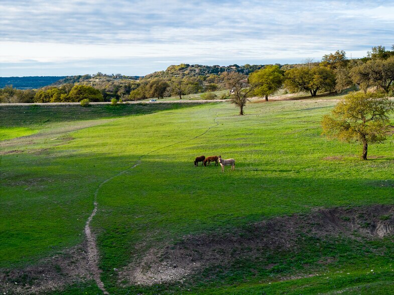 More Photos Of 5081 Bandera Hwy, Camp Verde Winery Vineyard For Sale