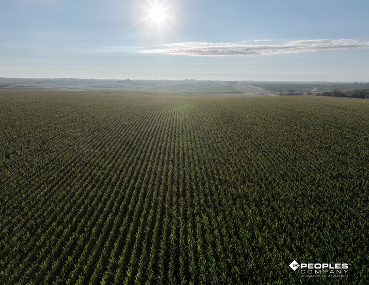 More Photos Of 01 310th Street, Conrad Land For Sale