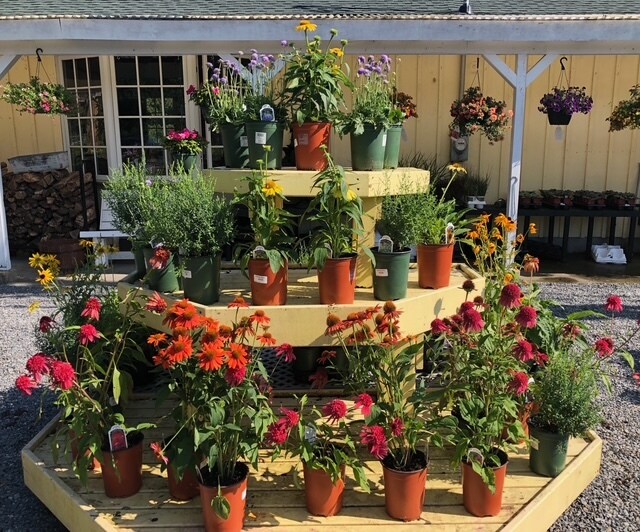 More Photos Of 398 Main Street, Groton Specialty For Sale