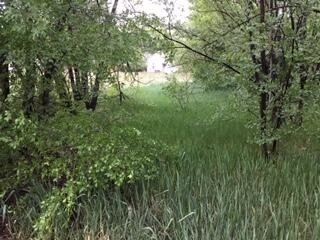 More Photos Of 820 Rancho Santa Fe Pt, Colorado Springs Land For Sale