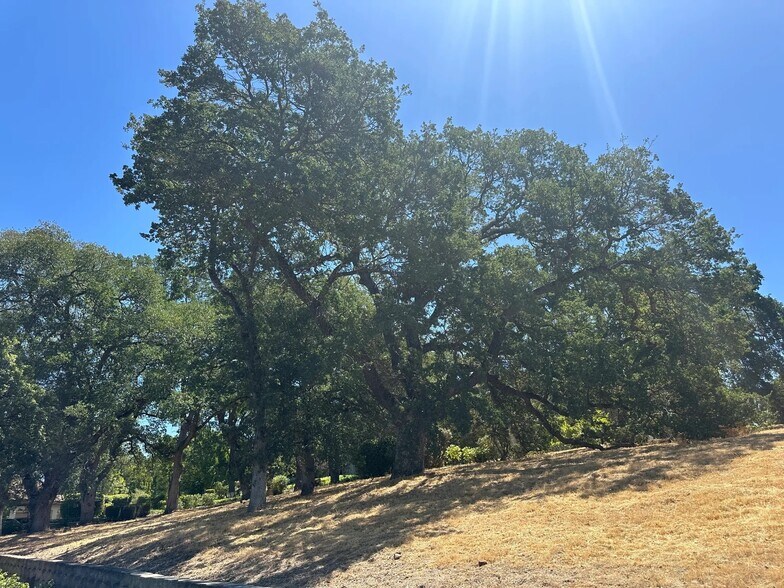 More Photos Of 1501 Secret Ravine Pkwy, Roseville Apartments For Sale