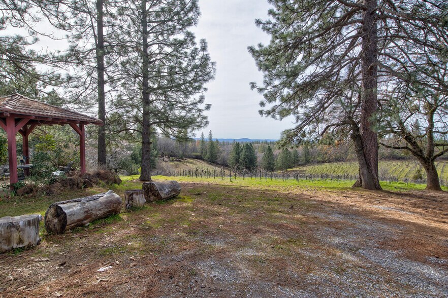 More Photos Of 4771 Greenhills Rd, Placerville Winery Vineyard For Sale