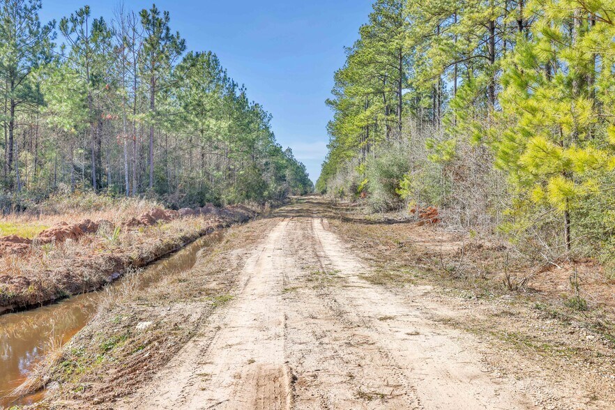 More Photos Of 0000 Hwy105 Hwy, Sour Lake Land For Sale