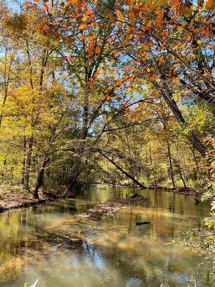 More Photos Of 92 Lillian Strong rd, Carlton Land For Sale