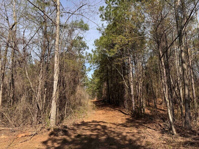 More Photos Of 0 Hwy 138 & N Main St st, Jonesboro Land For Sale