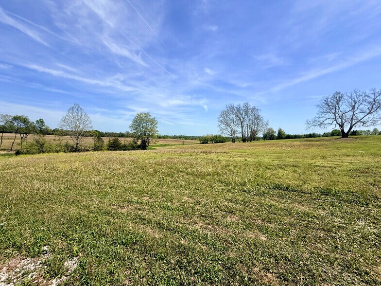 More Photos Of 4132 KY Highway 36 W, Cynthiana Land For Sale