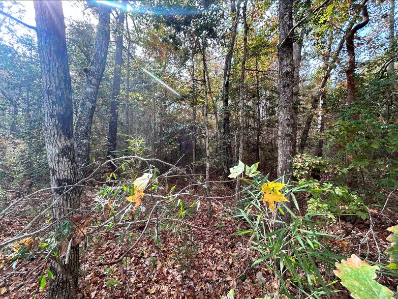 More Photos Of 2224 Governors rd, Windsor Land For Sale