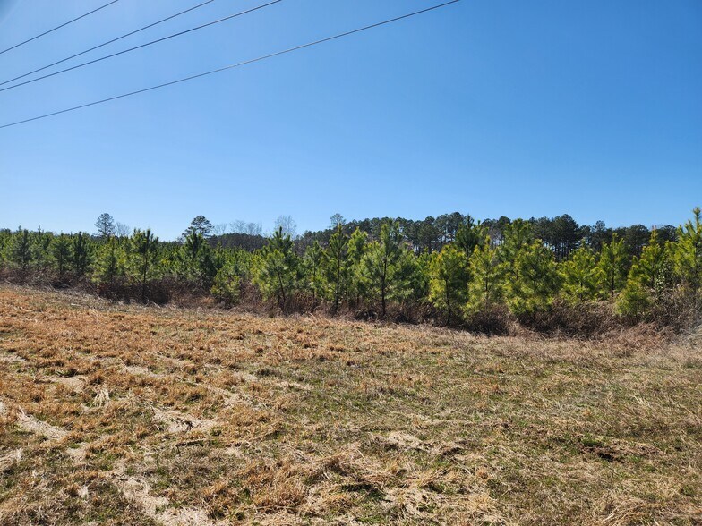 Primary Photo Of 3004 U.S. 401 Hwy, Louisburg Land For Sale