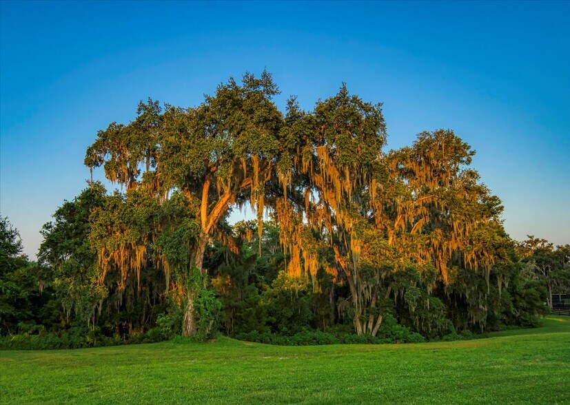 More Photos Of 7780 N Whippoorwill Ter, Hernando Sports And Entertainment For Sale