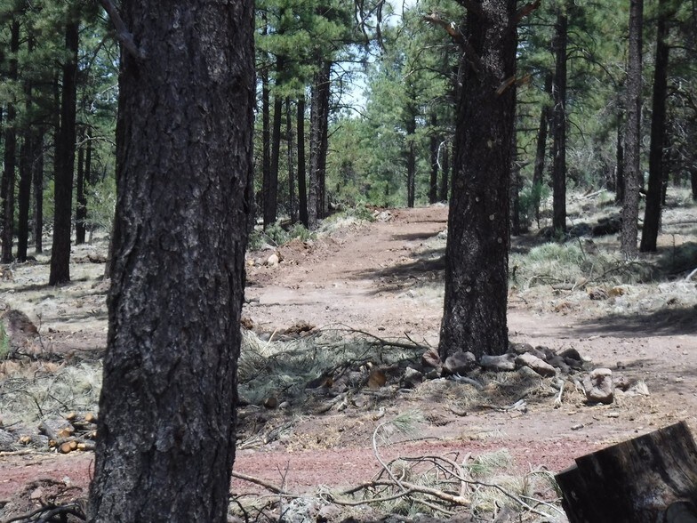 More Photos Of Interstate 40 @ Roundhouse Rd, Williams Land For Sale