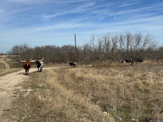 More Photos Of 363 County Road 4403, Grandview Land For Sale