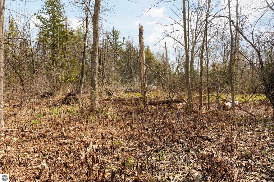 More Photos Of 2051 Garfield Ave, Traverse City Land For Sale