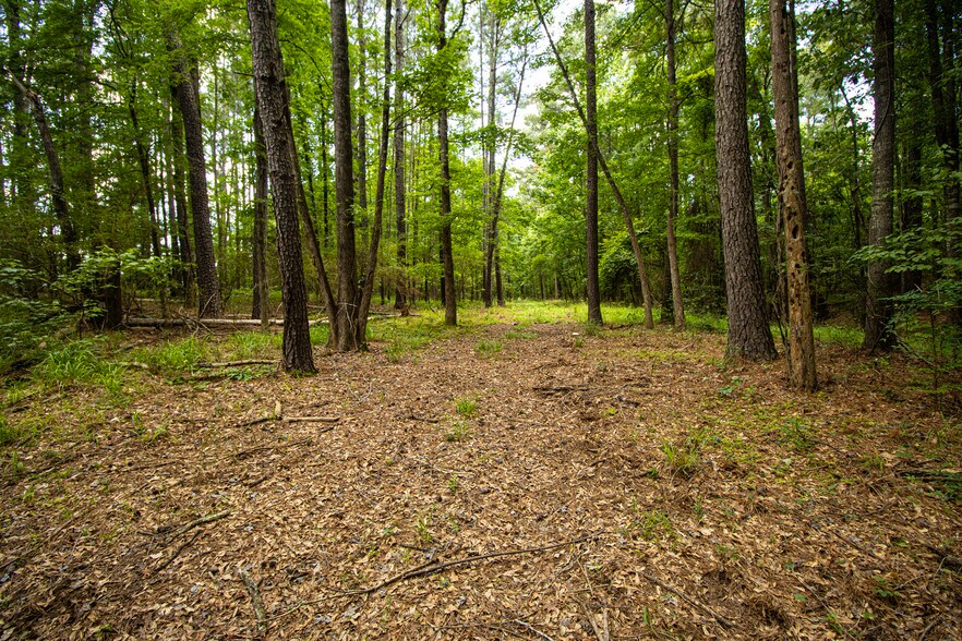 More Photos Of 6817 TX-42, Kilgore Land For Sale