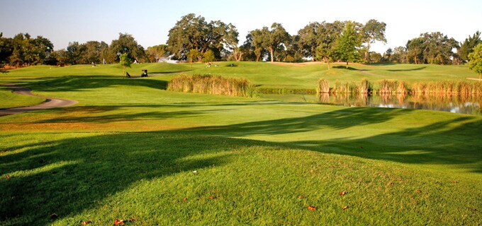 More Photos Of 1320 19th Hole Dr, Windsor Office For Lease