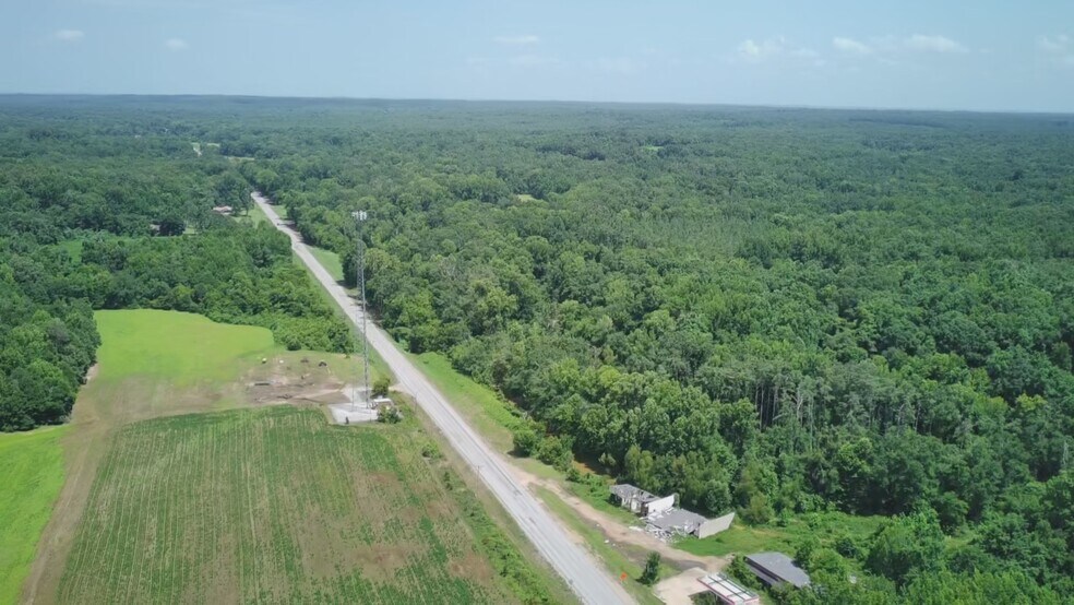 More Photos Of 24022 Highway 12, Lexington Land For Sale