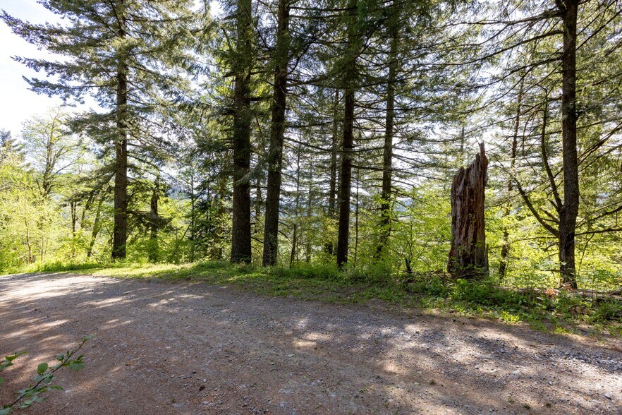 More Photos Of 0 Snag Mountain Road, Washougal Land For Sale
