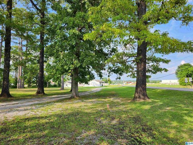11215 Hwy 22 Lot 1