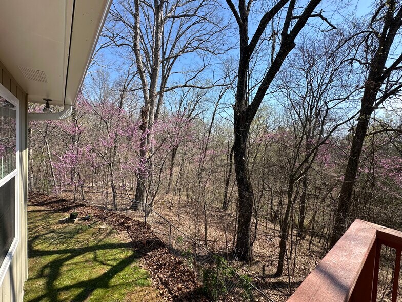 More Photos Of 7312 Highway 60, Georgetown Land For Sale