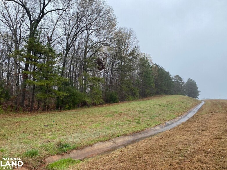 More Photos Of 0 Highway 280, Dadeville Land For Sale