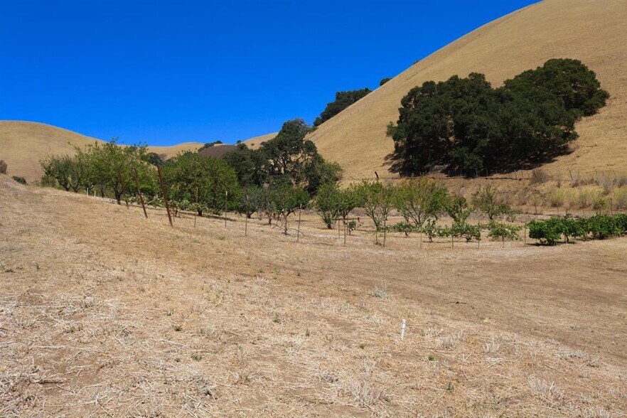 More Photos Of 32800 Johnson Canyon Rd, Gonzales Land For Sale