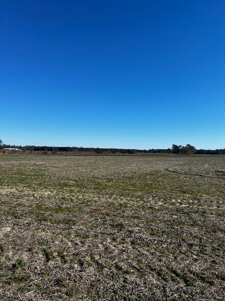 More Photos Of 2292 Nichols hwy, Aynor Land For Sale