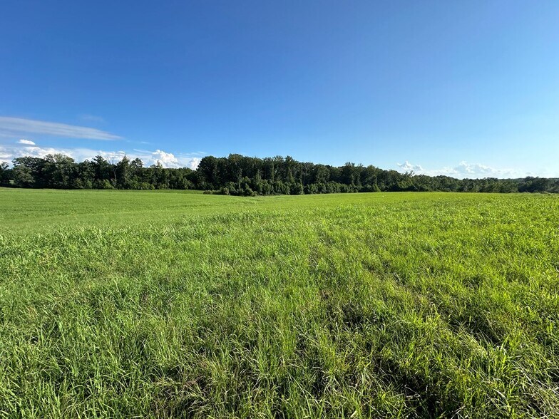 More Photos Of 4087 Coleman Dr, Alton Specialty For Sale