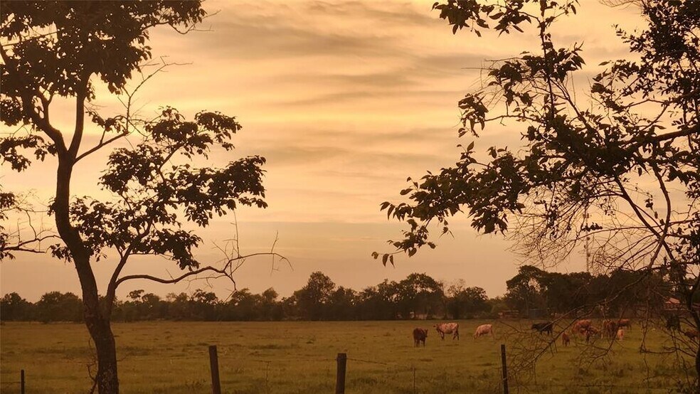 More Photos Of 0 Adlong School Rd, Crosby Land For Sale