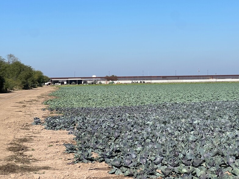 More Photos Of 271.62 Acs on West side of Pharr Intl. Bridge, Pharr Land For Sale