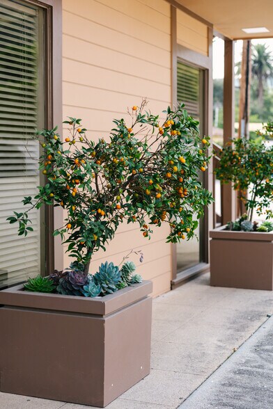 More Photos Of 2505 Canada Blvd, Glendale Office For Lease