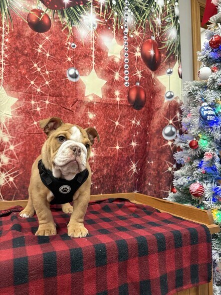 More Photos Of ,  Healthcare For Sale