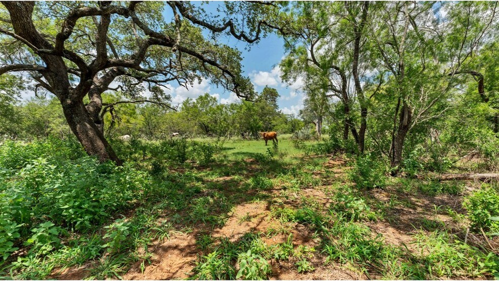 More Photos Of 209 FM 1344, Floresville Land For Sale
