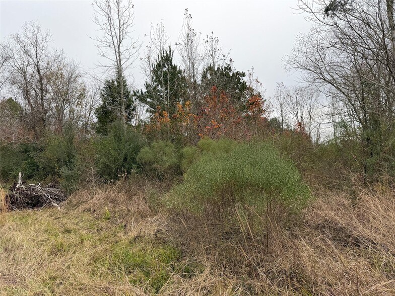 More Photos Of 8007 FM 1960, Dayton Land For Sale