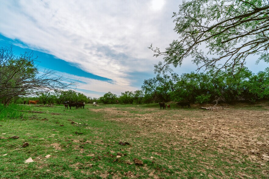 More Photos Of County Road 1865, Langtry Land For Sale