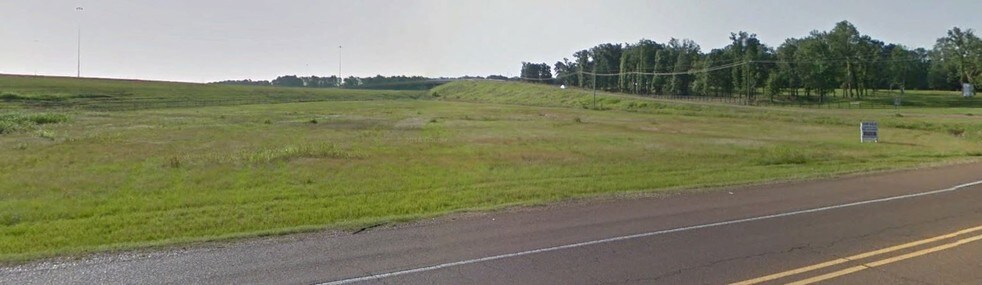 More Photos Of NEC of Green T & Hwy 51, Hernando Land For Sale