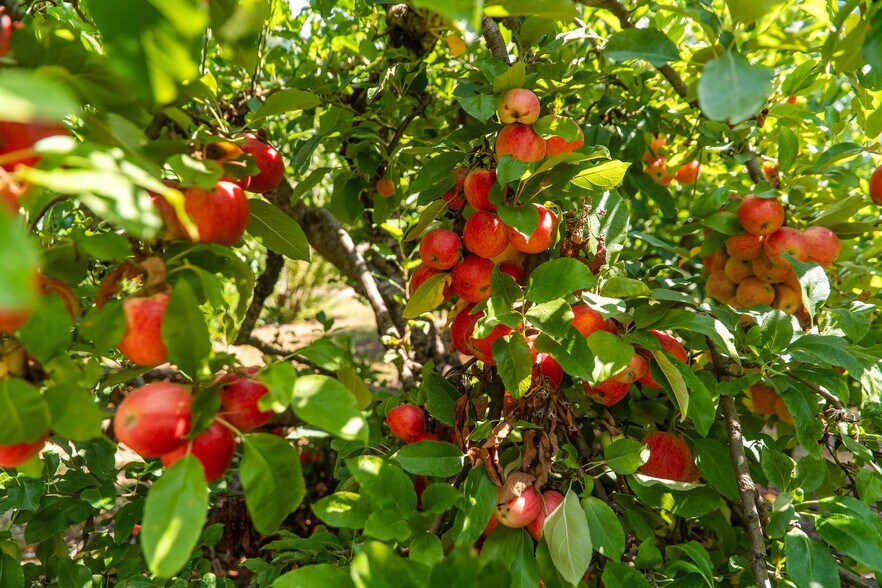 More Photos Of 00 Summit Lake Road, Big Bend Land For Sale