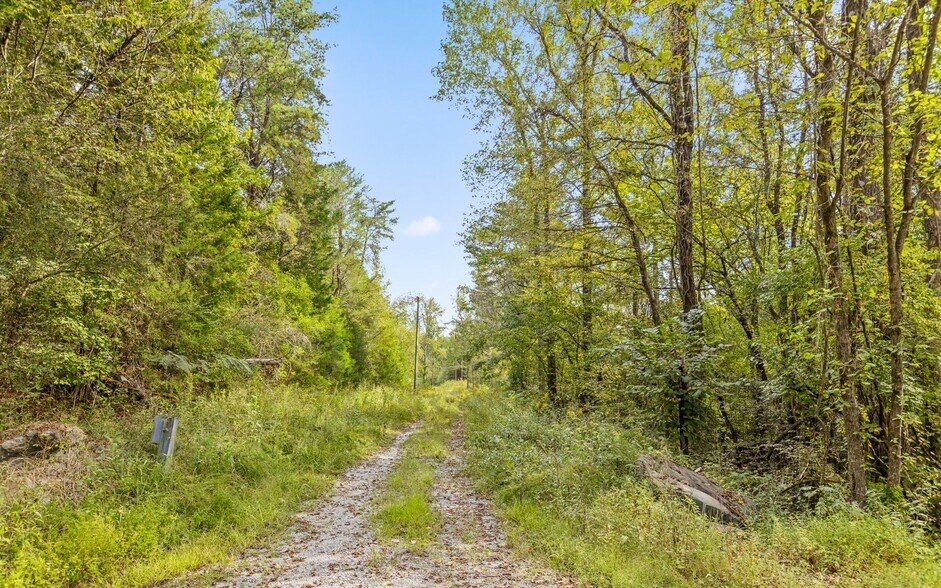More Photos Of 0 Old GA 299 Hwy, Wildwood Land For Sale