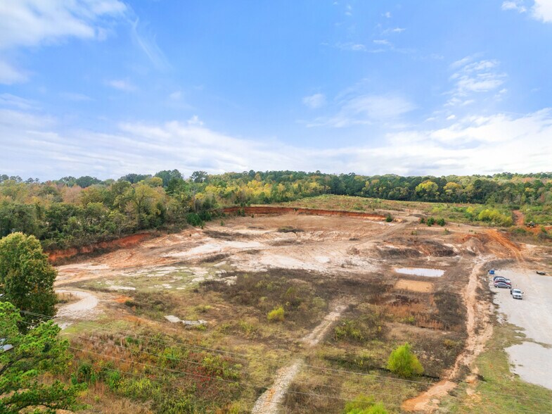 More Photos Of 15374 Hwy 110 S, Whitehouse Land For Sale