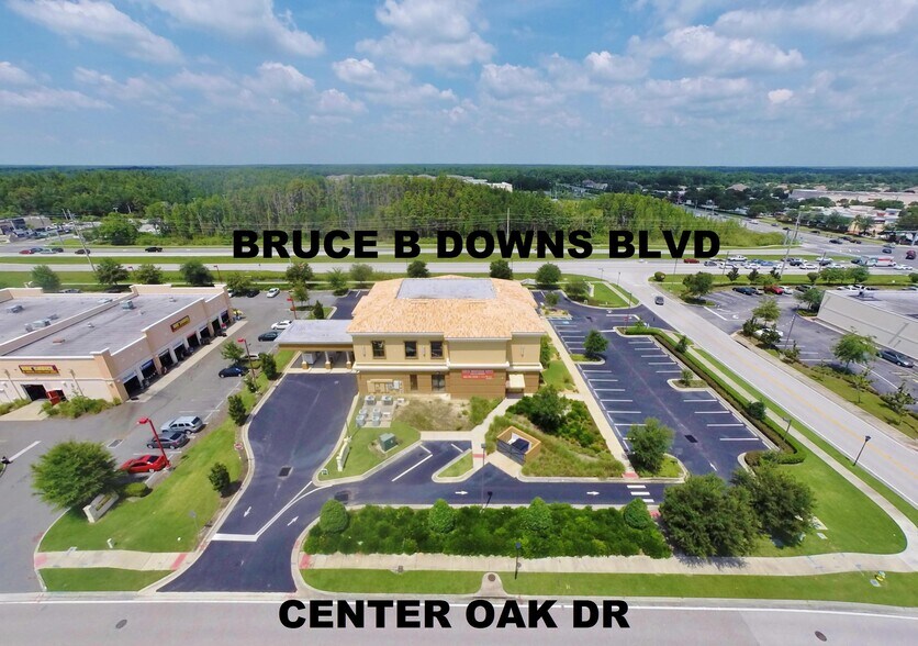 More Photos Of 20701 Bruce B Downs Blvd, Tampa Loft Creative Space For Lease