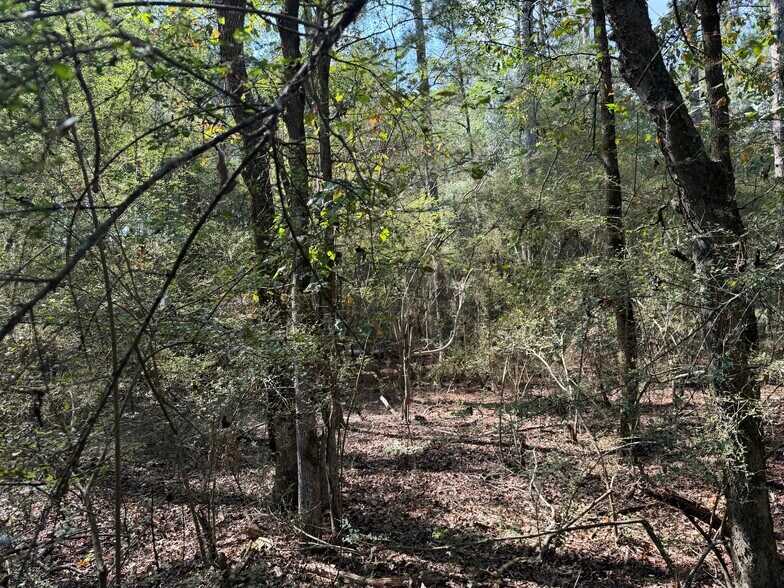 More Photos Of 107 Popham rd, Taylorsville Land For Sale