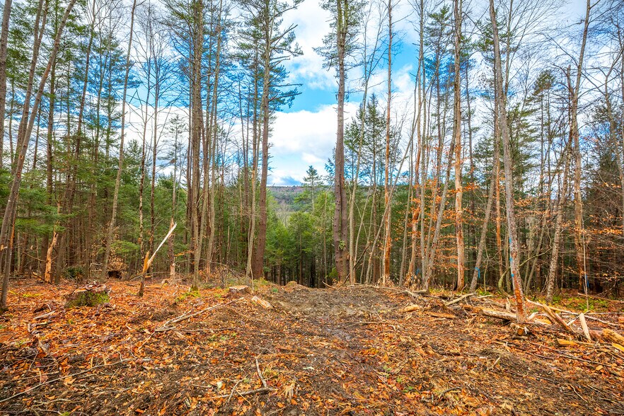 More Photos Of 40 E Putney Brook Rd, Putney Land For Sale
