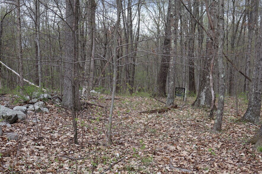 More Photos Of 330 Plutarch Rd, Highland Land For Sale