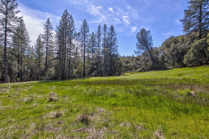 More Photos Of 18800 Charleston Rd, Volcano Land For Sale