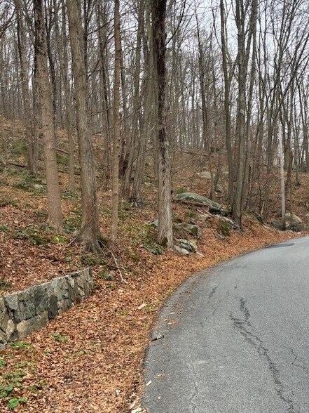 More Photos Of 88 Wiccopee Rd, Putnam Valley Land For Sale