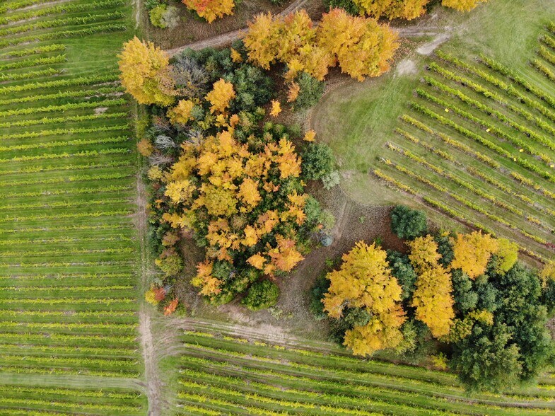 More Photos Of 10343 E Hilltop Rd, Suttons Bay Winery Vineyard For Sale