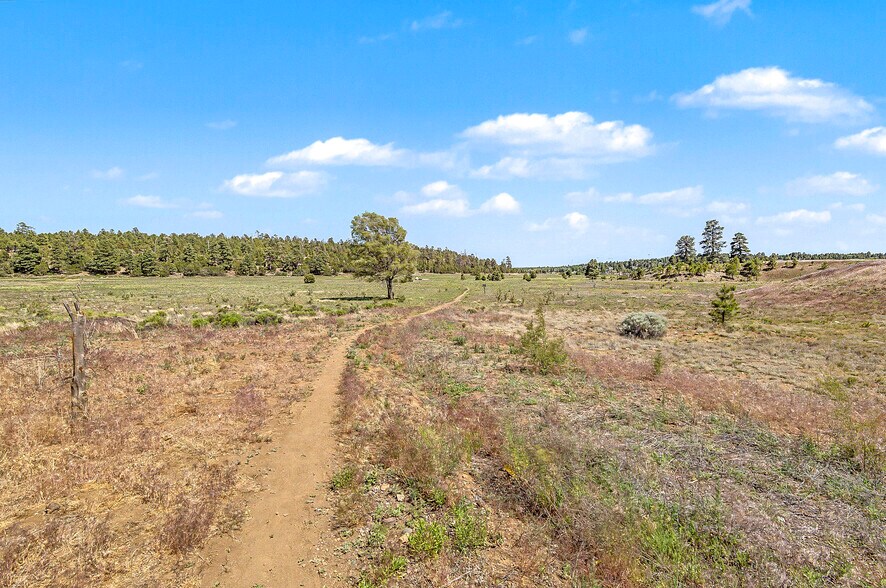 More Photos Of 5255 E Cortland Blvd, Flagstaff Land For Sale